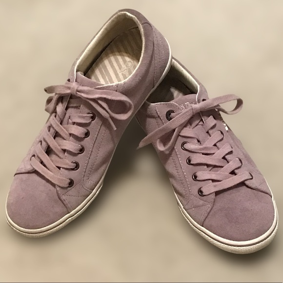 Taos Footwear Shoes - Taos Suede Sneakers